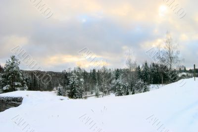 winter landscape
