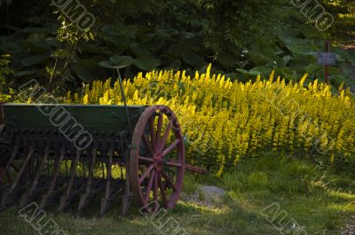 Antique seeder on a lawn.