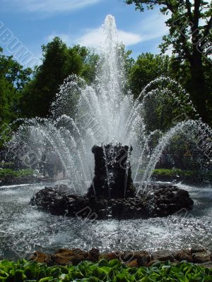 Silhouette of a fountain