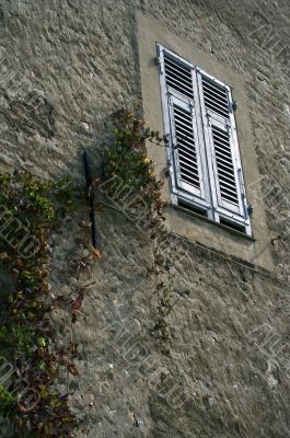 Window
