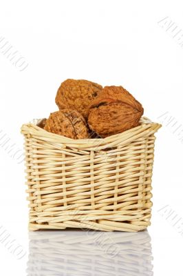 Walnuts in the basket