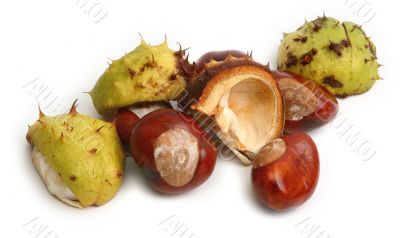 chestnuts on white