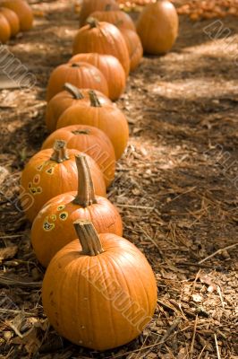 Pumpkins and Stickers