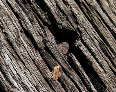 Old Railroad Tie