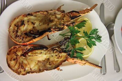 Grilled lobster