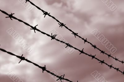 barbed wire and red dawn