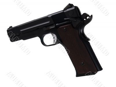 Pistol