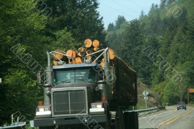 Logging truck on highway