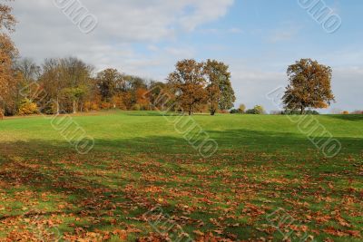 Landcape in automn