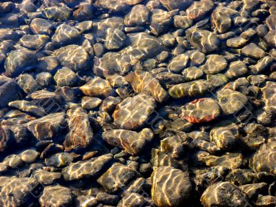 Beautiful underwater stones