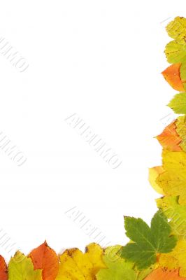 Colorful autumn corner