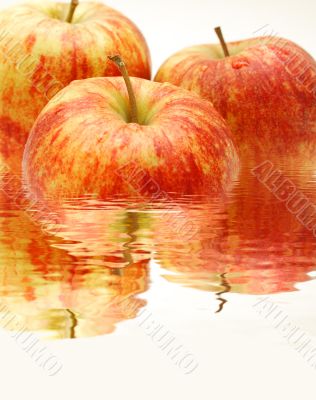 Three apples in water