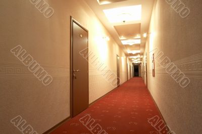 red carpet