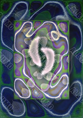 Recreation afternoon