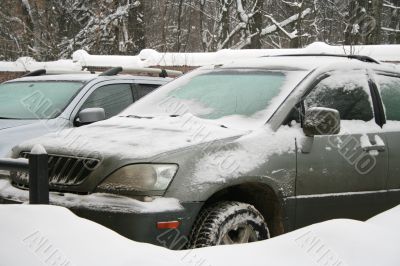 under a snow