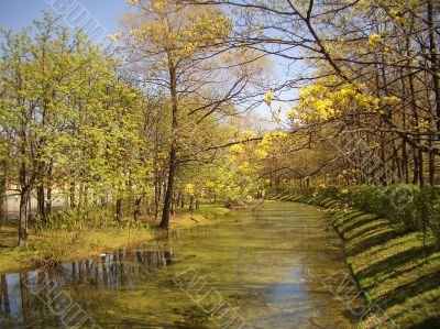 Early spring in a park