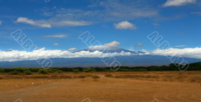 Kilimanjaro Mountain