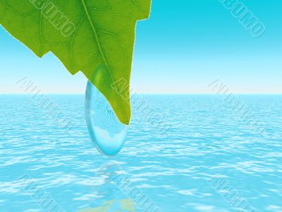 leaf with the drop