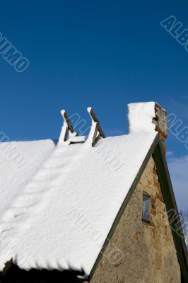 Winter scene