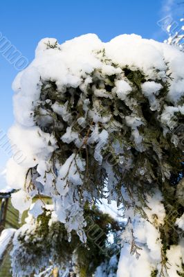 First snow