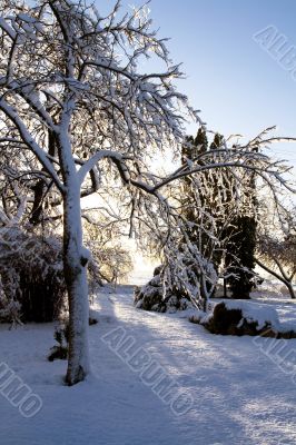 First snow