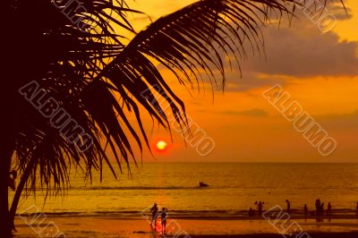 sand beach at sunset