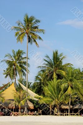 cafe on sand beach in tropics