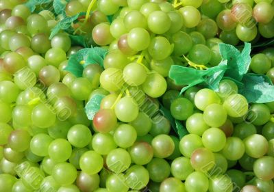 Grapes