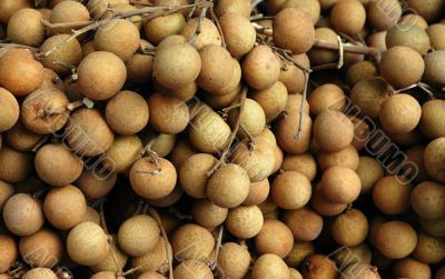 Longan