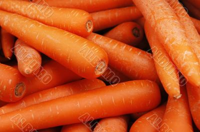 Carrot