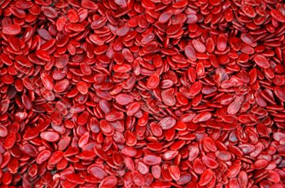 Red Melon Seeds