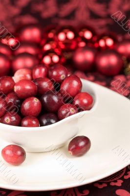 Bowl of cranberries
