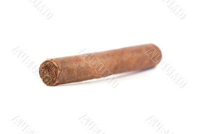 Cuban cigar