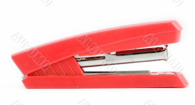 stapler