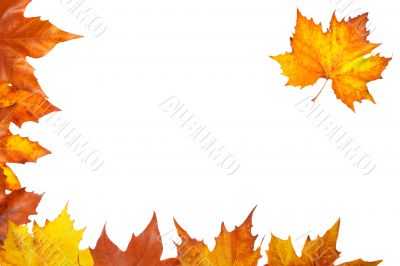 Autumn corner