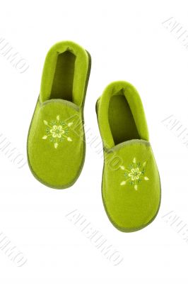 Lady green slippers