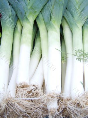 leeks