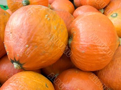 pumpkins