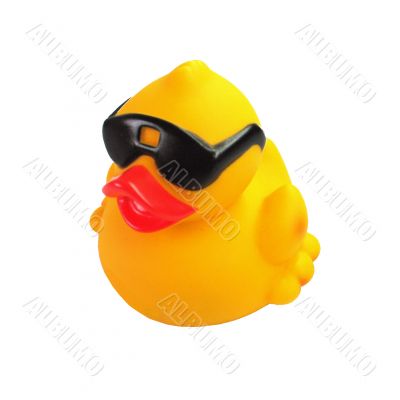 Rubber Duckie