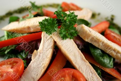 Chicken Salad Pesto 4