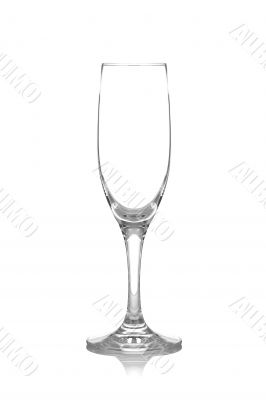 Empty champagne glass