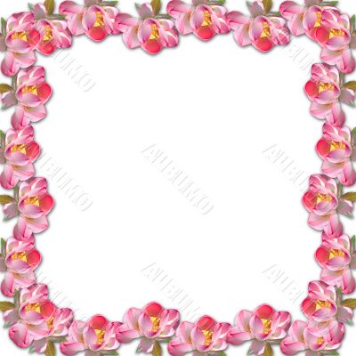 Flower framework