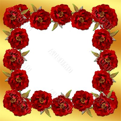 Flower framework from peonies