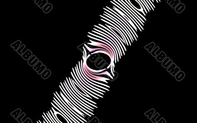 zebra eye abstract