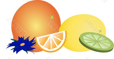 fruit