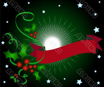 Christmas holly