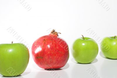 Apples and a Pomegranate