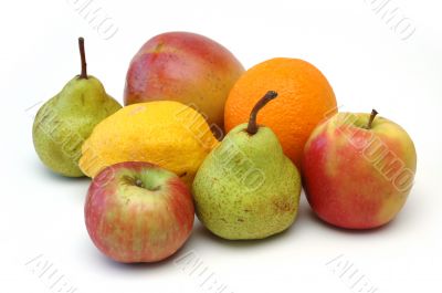 Fruit Series 5