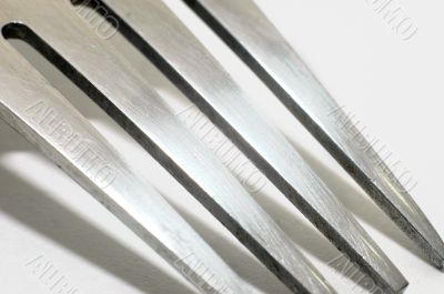 Fork Closeup