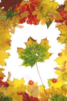 Autumn frame
